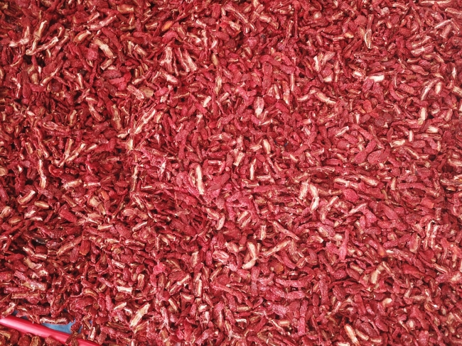 Iğdır'ın "domates kurusu" Avrupa pazarında